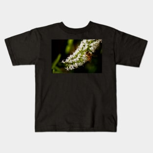 Honey Factory Kids T-Shirt